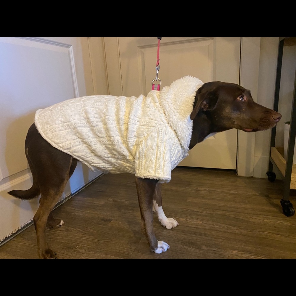 Winter White Dog Sweater